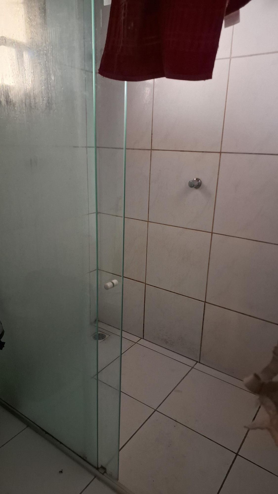 Casa, 4 quartos, 360 m² - Foto 8