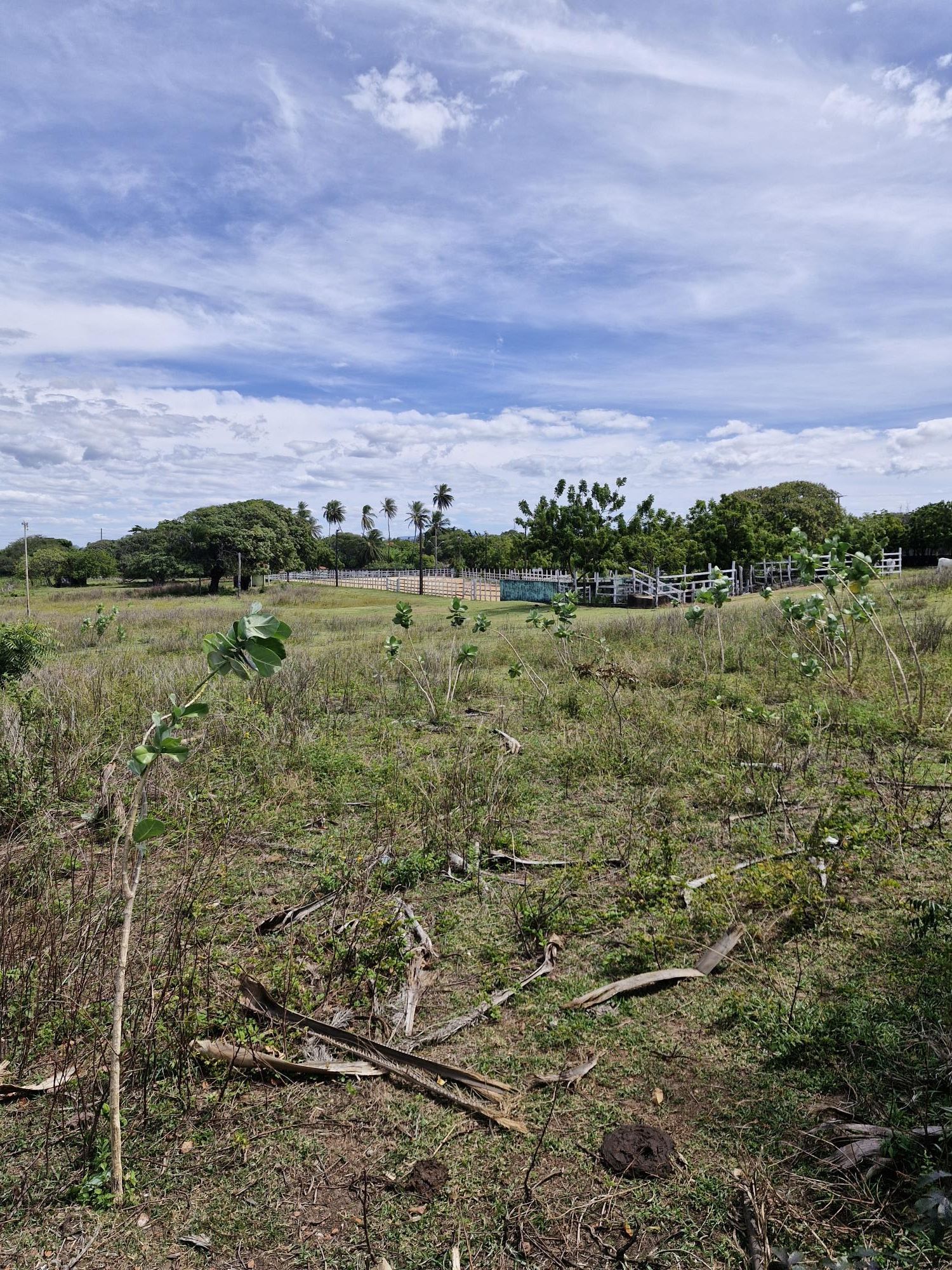 Lote/Terreno de 39000m² no bairro Lagoa Redonda, em Fortaleza | Eu Corretor