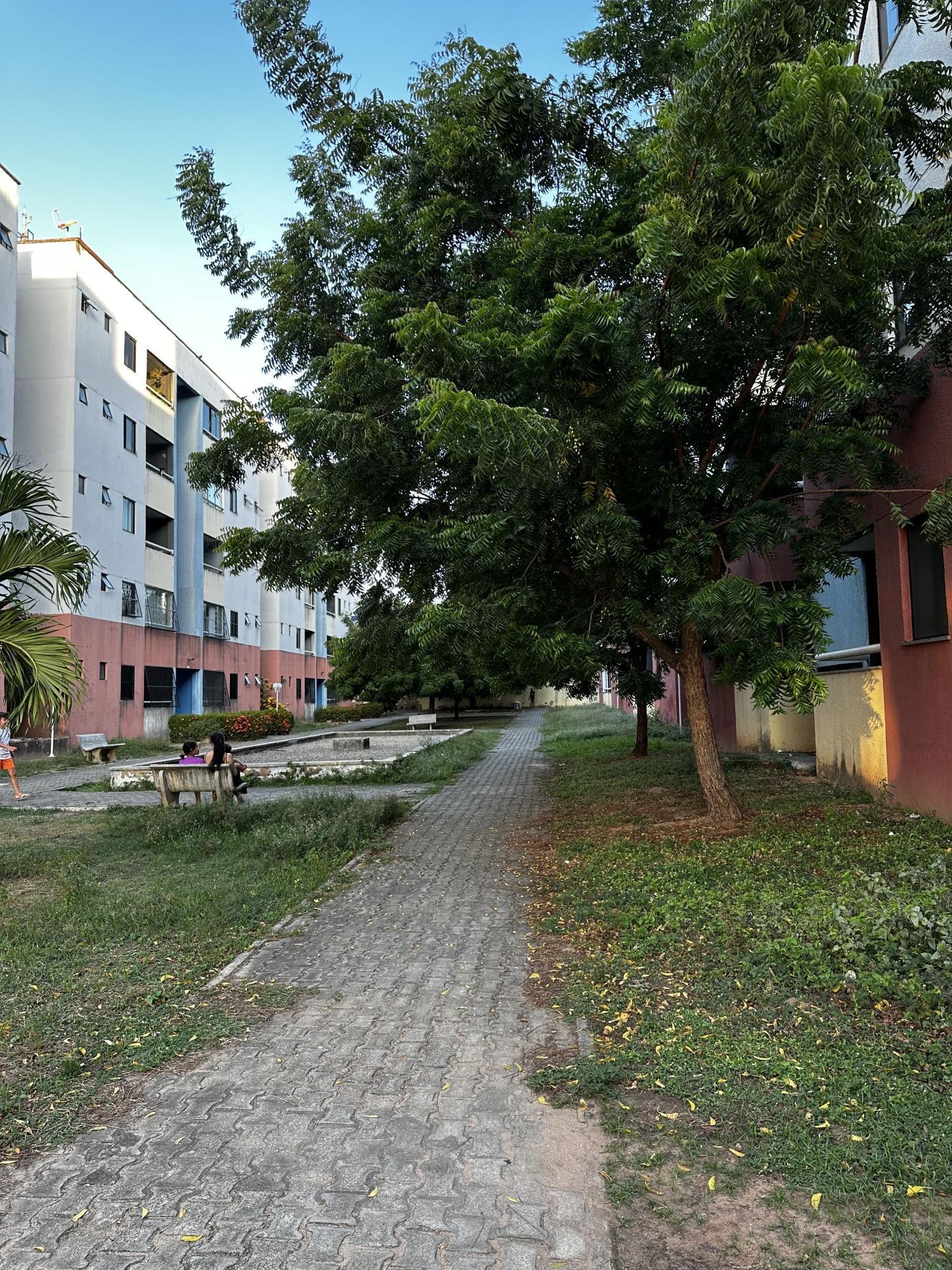 Apartamento à venda com 3 quartos, 56m² - Foto 18