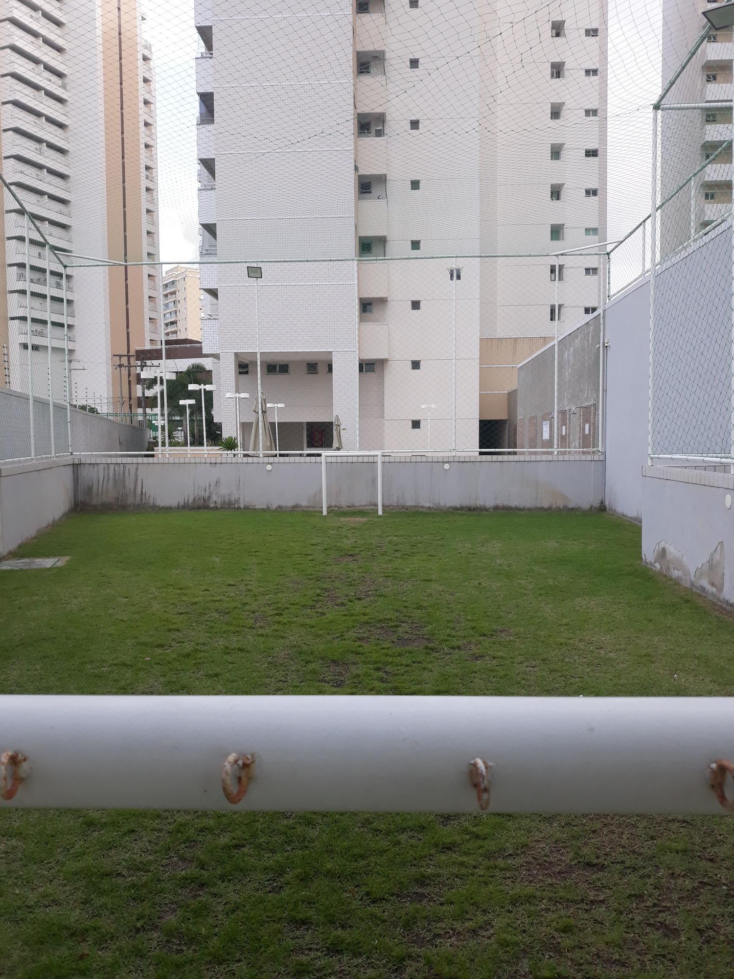 img154828052