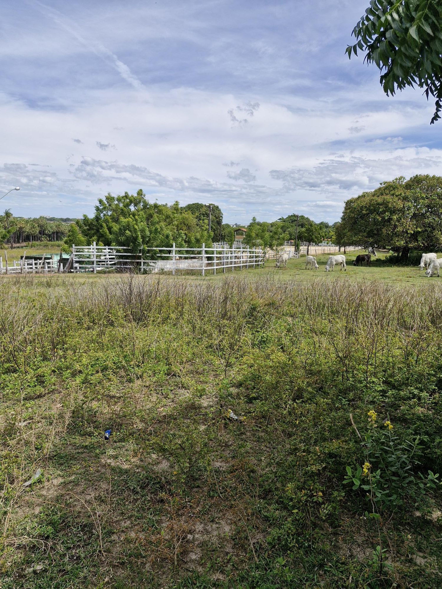 Lote/Terreno de 39000m² no bairro Lagoa Redonda, em Fortaleza | Eu Corretor