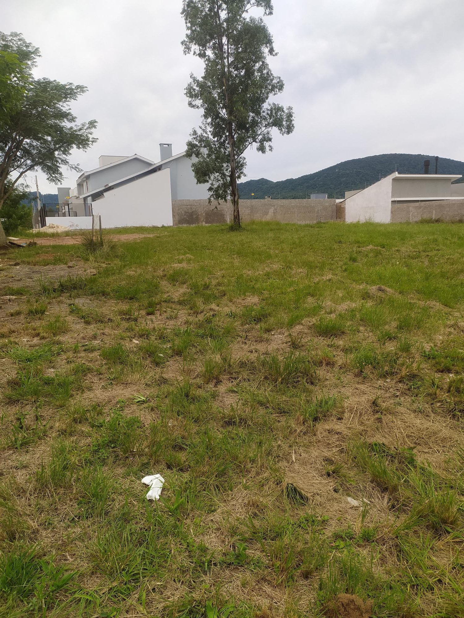 Terreno, 540 m² - Foto 2