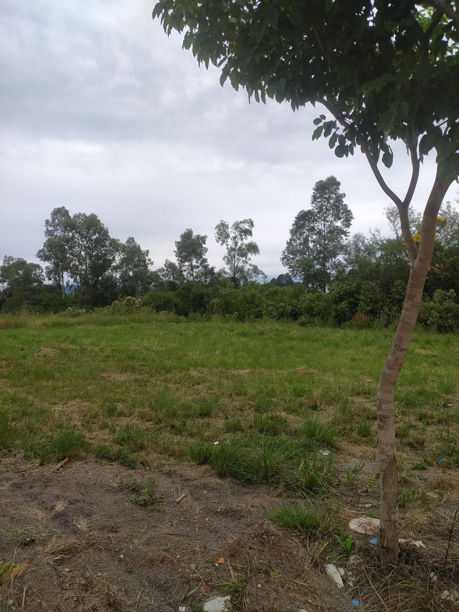 Terreno, 540 m² - Foto 1