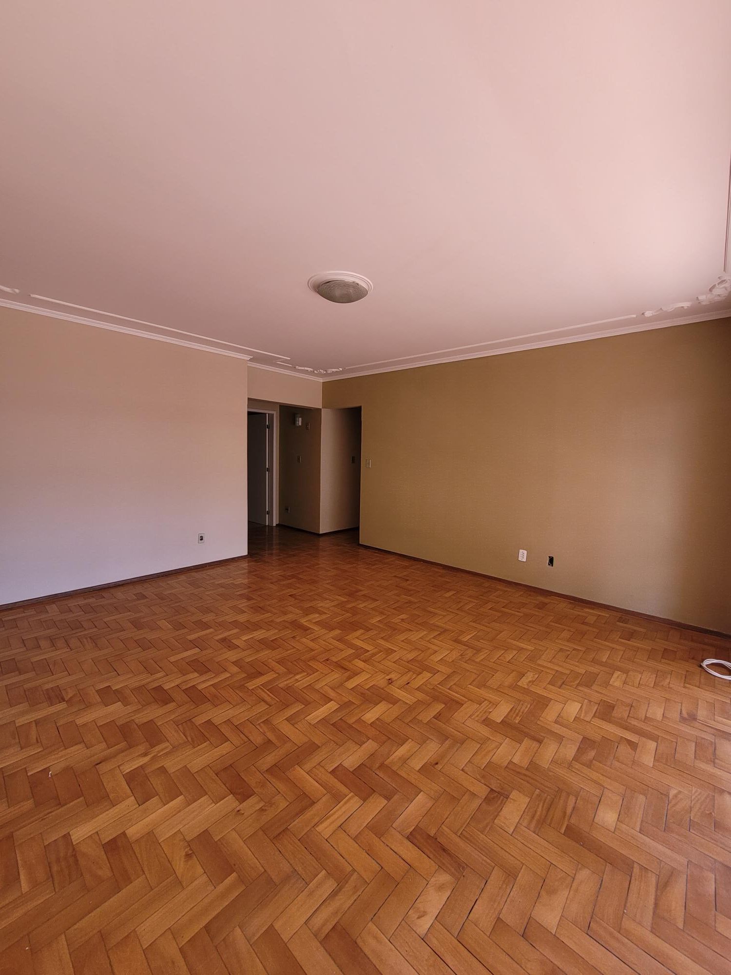 Apartamento à venda com 3 quartos, 230m² - Foto 5