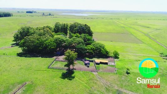 590 ha - Fazenda para pecuária