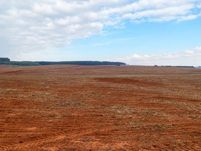 190 ha de terra argilosa - fazenda alegrete soja