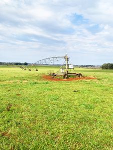 2800 hectares de soja com 4 pivôs e 5 barragens