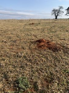 Propriedade a 3 km do asfalto para soja, pecuária ou arroz!
